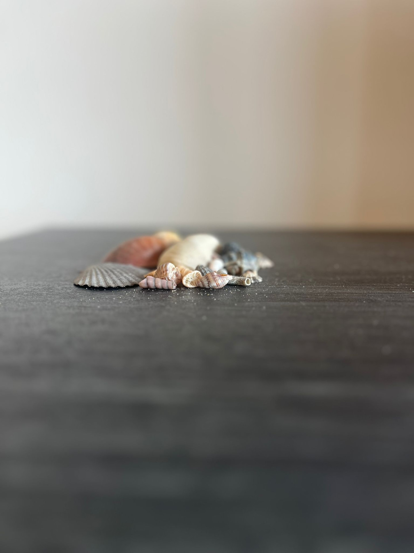Appartement 8